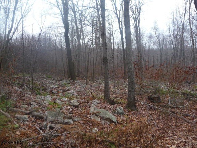 Nice wooded, 26.7 acre parcel of mountain land with some mixed timber and mountain stone. Property was recently surveyed with all corners visibly marked. This is a great hunting property or place to build a getaway place. Listing agent will accompany all showings.