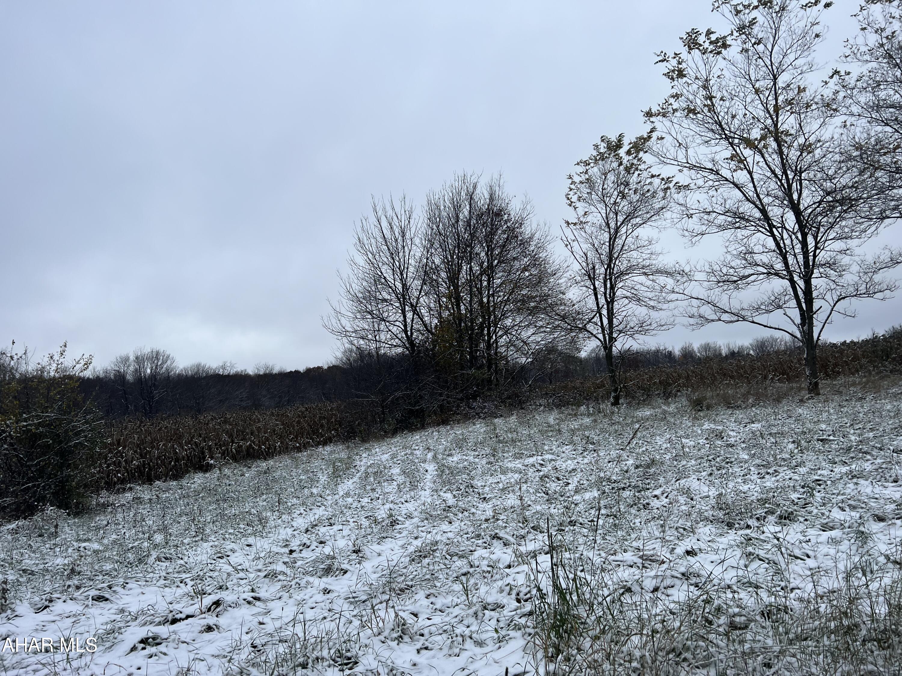 Former Reade Township Ball Field. Frontage on SR 865 and T-567 - corner site with public water and sewer available. Nice homesite or subdivision. Mostly cleared land. Survey in file. Water tap in fee is $2,500 and Sewer tap in fee is $1570.( as per Glendale Valley Mun Authority).