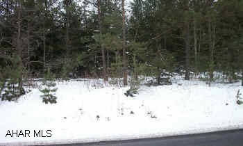 Beccaria Twsp. Clearfield Co. 45.3 wooded acres that has been strip mined over 30 yrs. ago,  flat to rolling & steep,  road frontage on SR 2005 - Elizabeth St., spring on property, nice views from rear of property.  Snipperman Creek Sportsman Club near. Between Beccaria & Smoke Run in Beccaria Twsp. Clearfield Co. 45.3 wooded acres that has been surfaced strip mined over 30 yrs ago, flat to rolling & steep, road frontage on SR 2005 - Elizabeth St., spring on property, nice views from rear of property.  Fish Commission's Snipperman Creek Sportsman Club across the road.