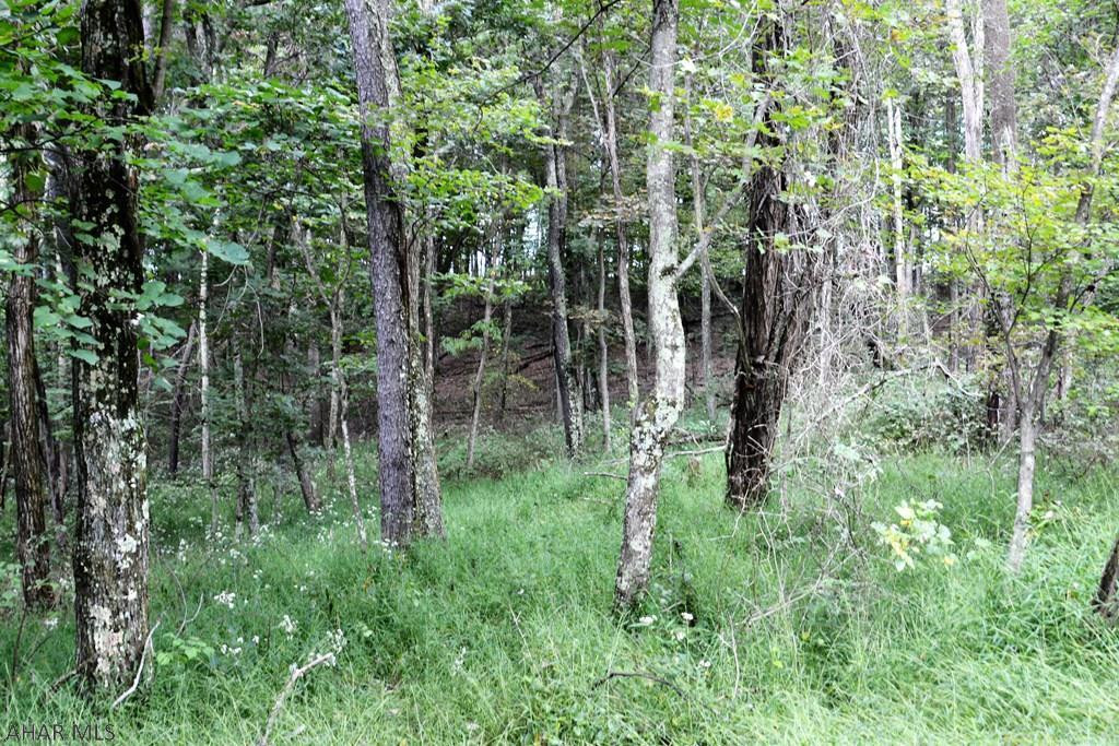 Other - Land