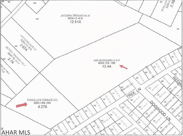 17.7 prime development acres adjacent to Woodland Terrace, Duncansville. Conveniently close to I-99, schools, shopping and more. Per seller's legal counsel: Seller does not own legal fee simple ownership of the two access points to the property. There is evidence that easement rights exist, but buyers will need to have their own title search to verify.
