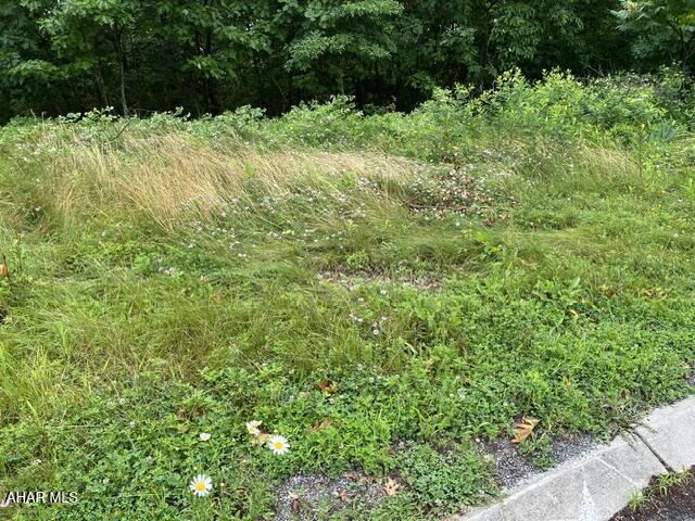 Great location in the beautiful Castle Farm development.  Stunning views of the city and surrounding mountains.  Buyer to drill well, public sewer available at street.