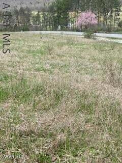 Beautiful building lot - Countryside Estates! Gorgeous views. Public sewer - must drill well.