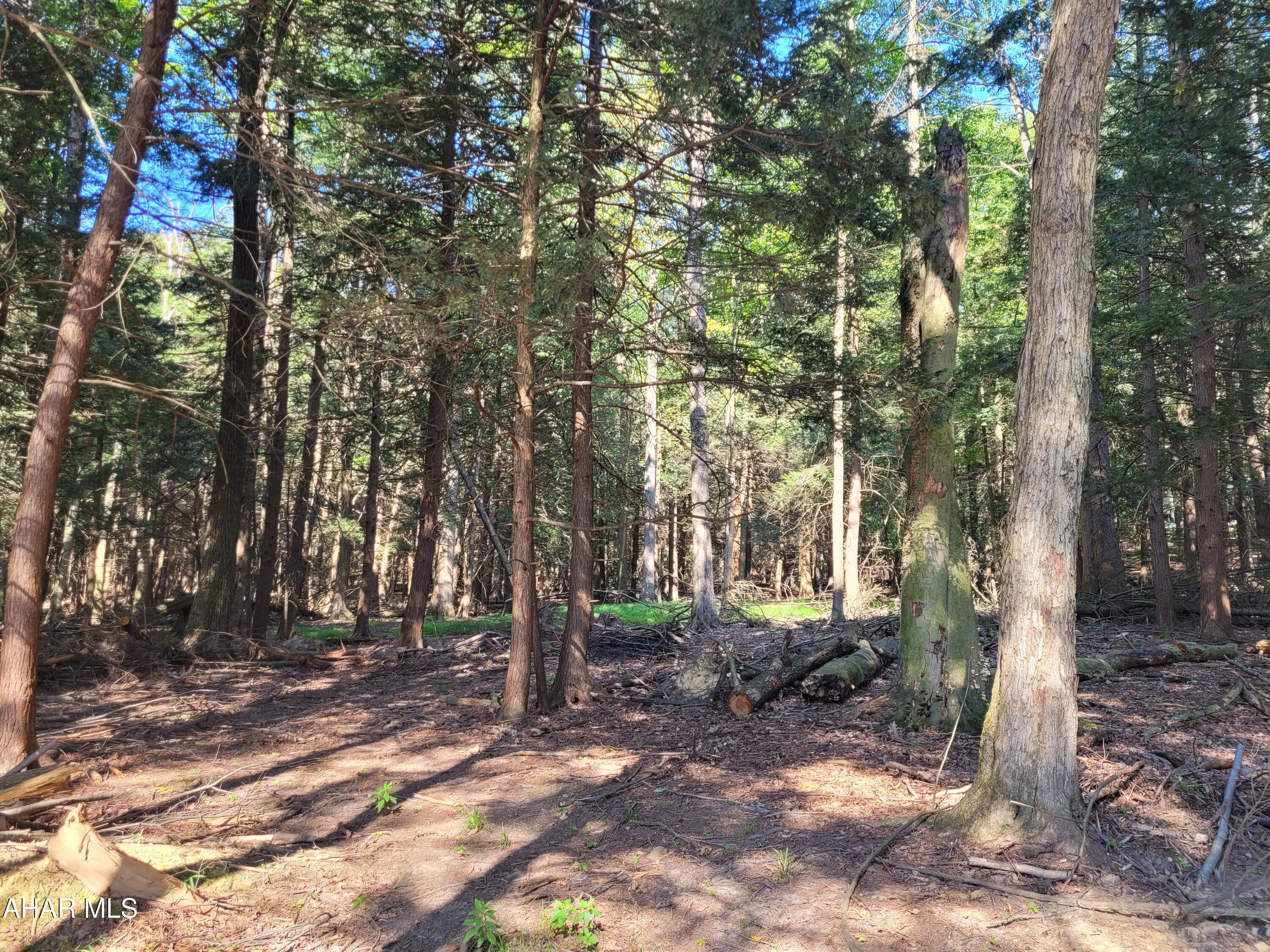 Have the best of both worlds:  private wooded lot with public water / sewer and electric available.  Located in the gated community of Glendale Yearound with recreational amenities such as seasonal pool, tennis / basketball / volleyball courts, pavilions, dog park, clubhouse, planned activities.  Adjacent to Prince Gallitzin State Park / Glendale Lake.

Seller will consider subdividing.