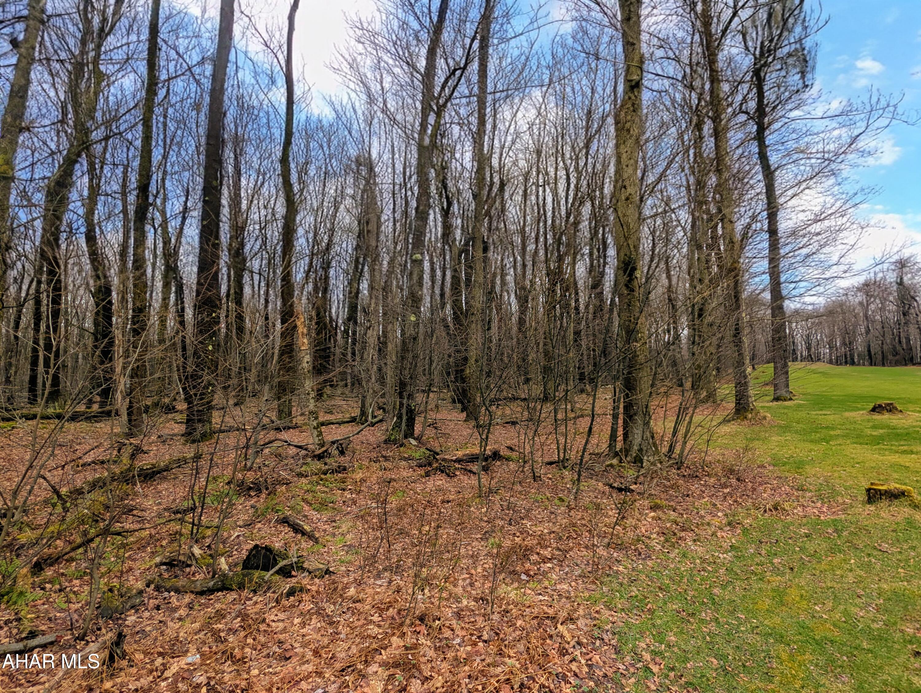Other - Land