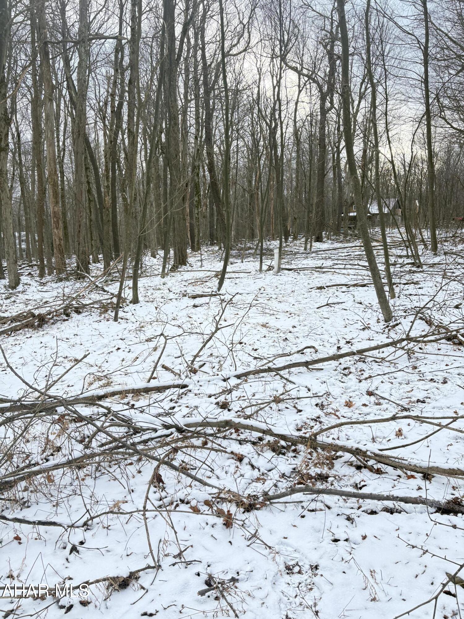 Other - Land