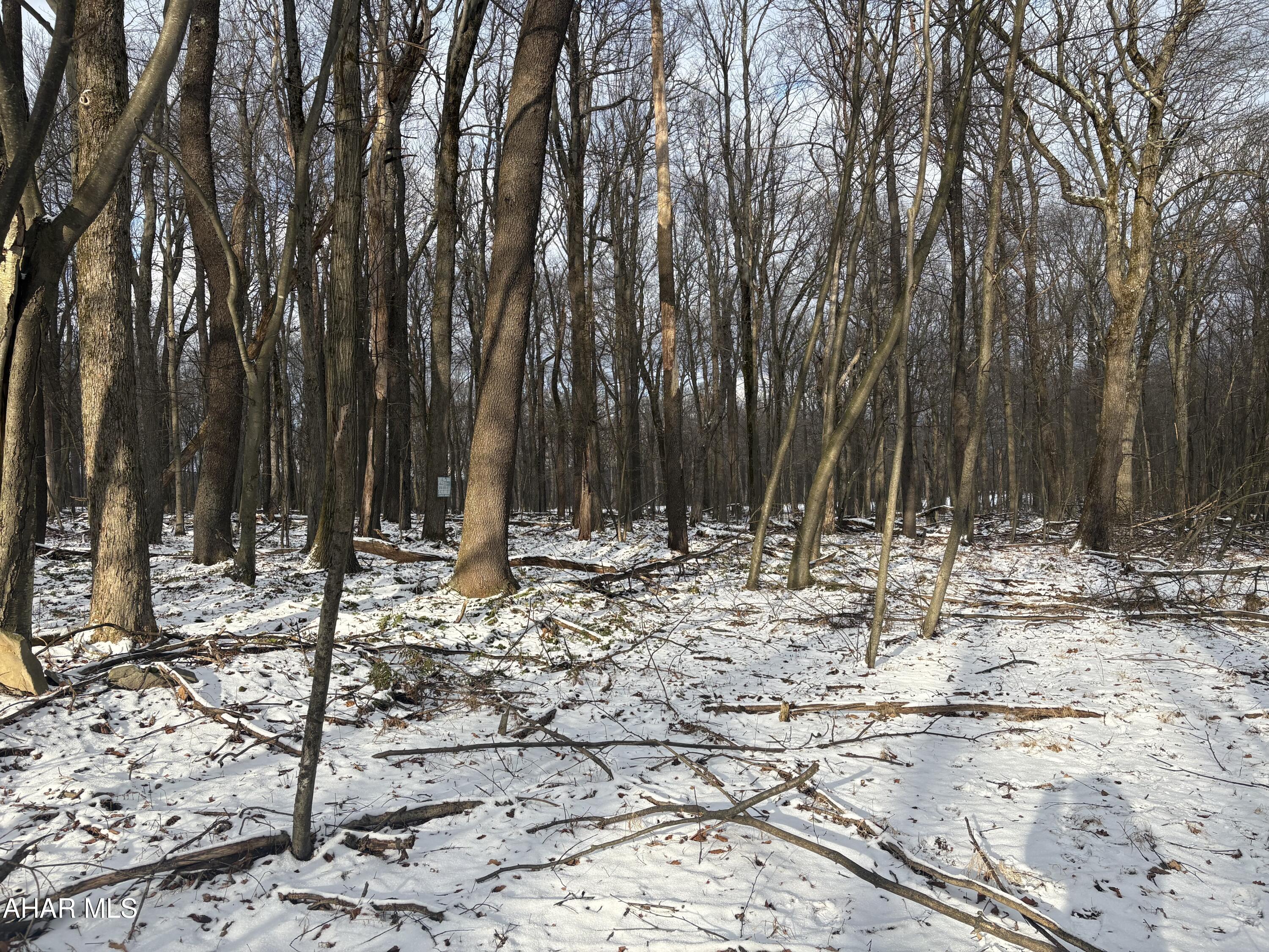 Other - Land