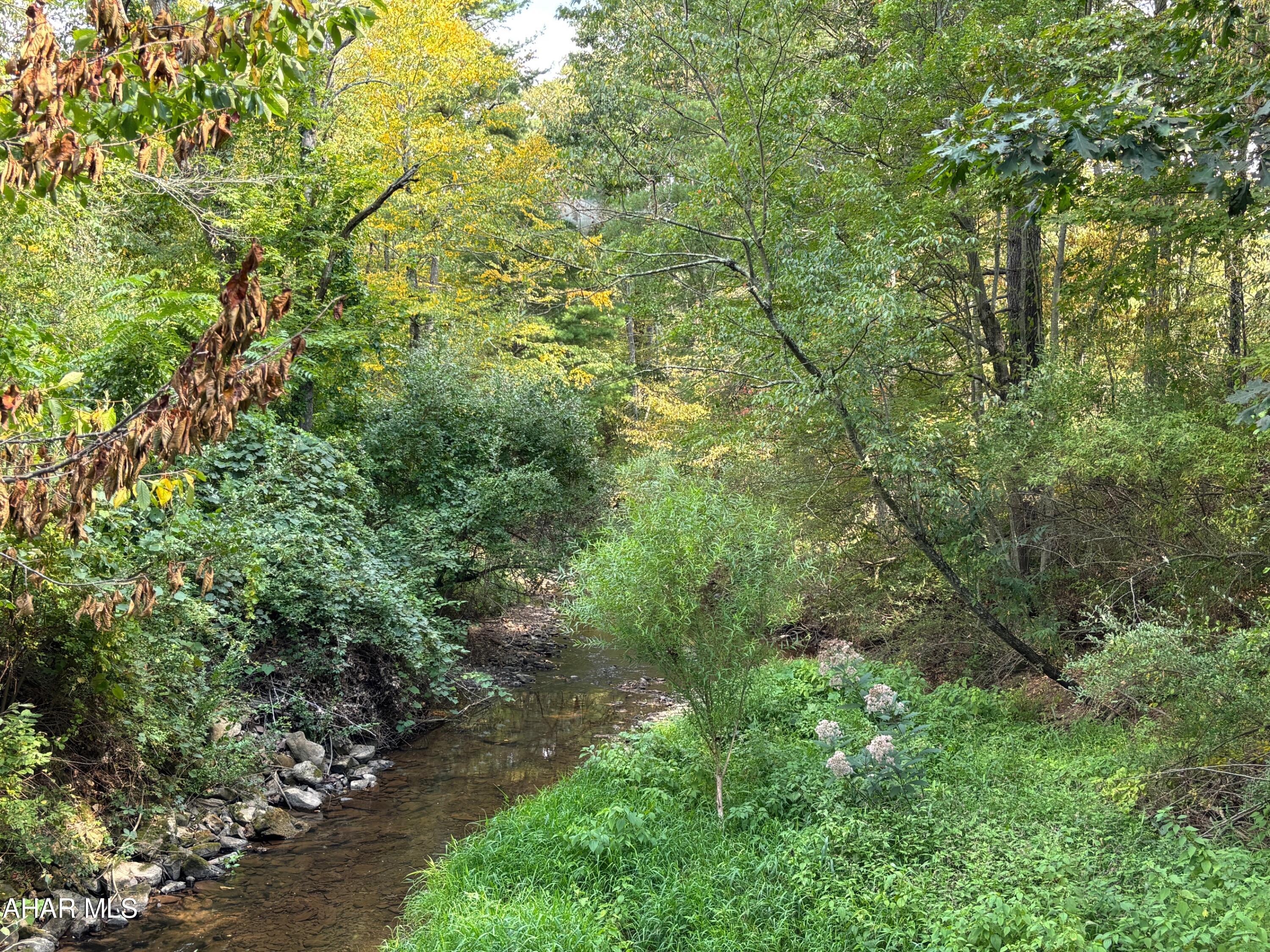 This 17± acre property is a true builder's dream. With a gentle creek flowing just behind where a future home could sit, and open fields on both sides, the setting offers both beauty and functionality. The layout naturally draws in wildlife, creating a quiet pathway through the landscape. Whether you're building your dream home or developing your next project, this piece of ground offers the kind of setting that's getting harder to find.