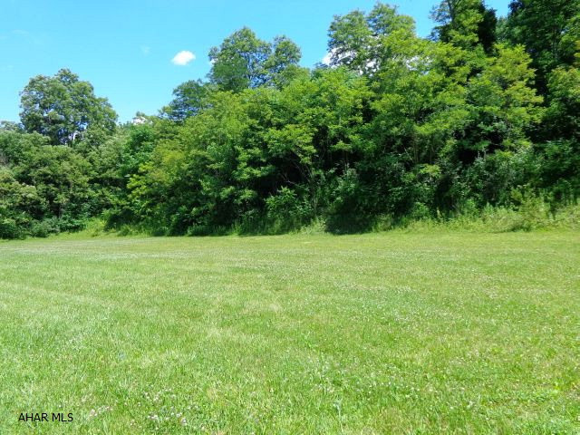 Public sewer is now available. Commercial parcel ready for construction. Lot size is 600 x 150 with cleared area of 250 x 110. Billboard income is $2,000/ year.  Parcel is zoned with the City of Altoona as Commercial Neighborhood Business Zone.
