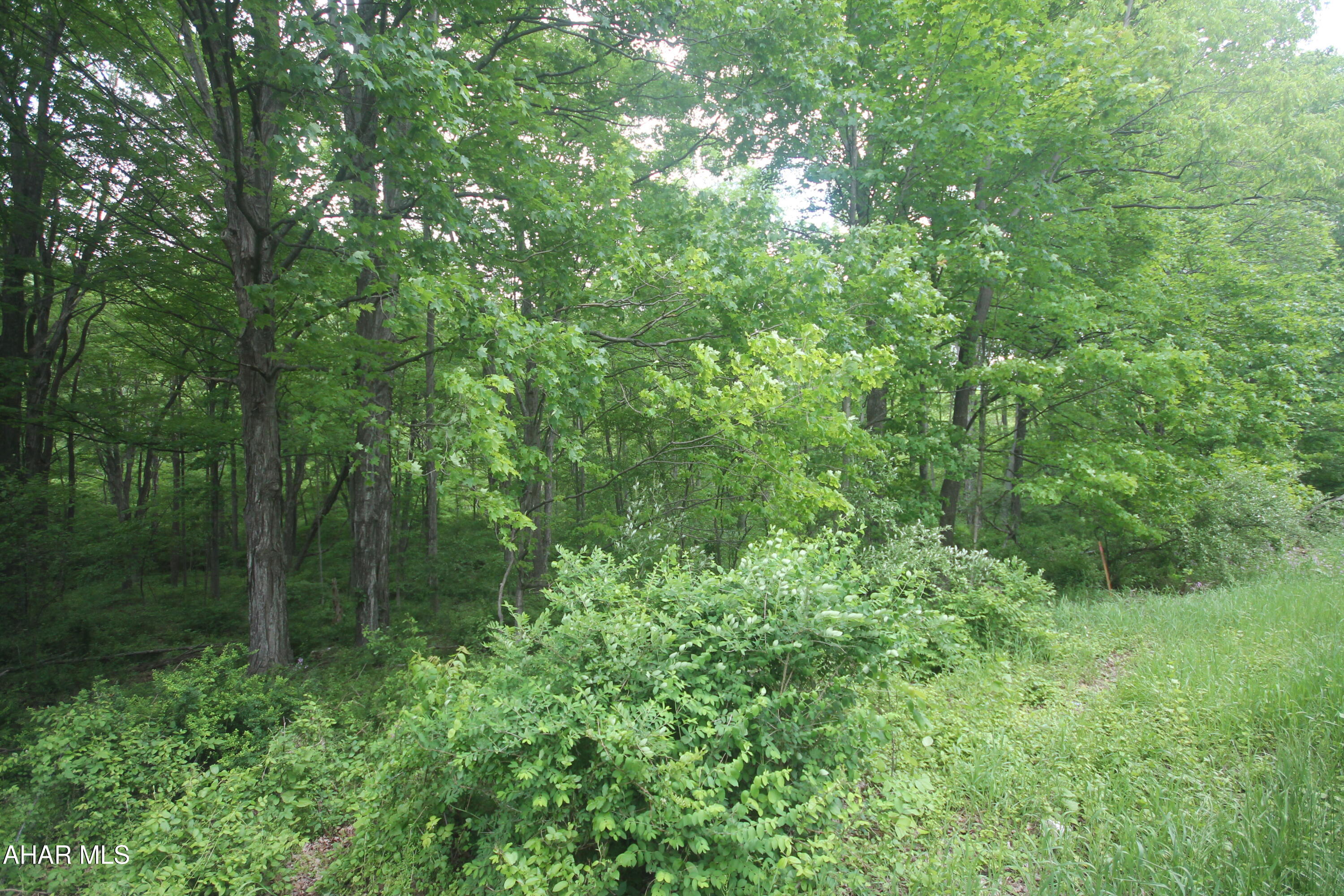 Other - Land