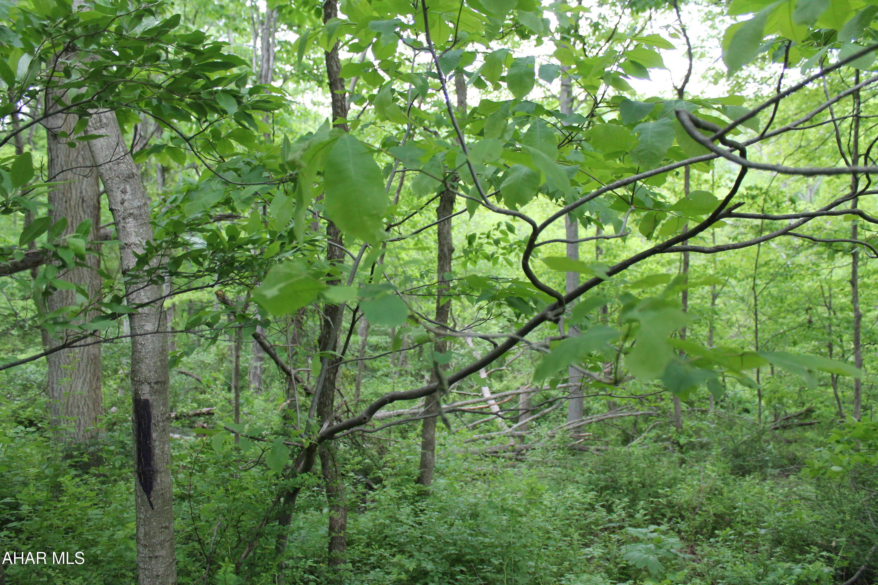 Other - Land