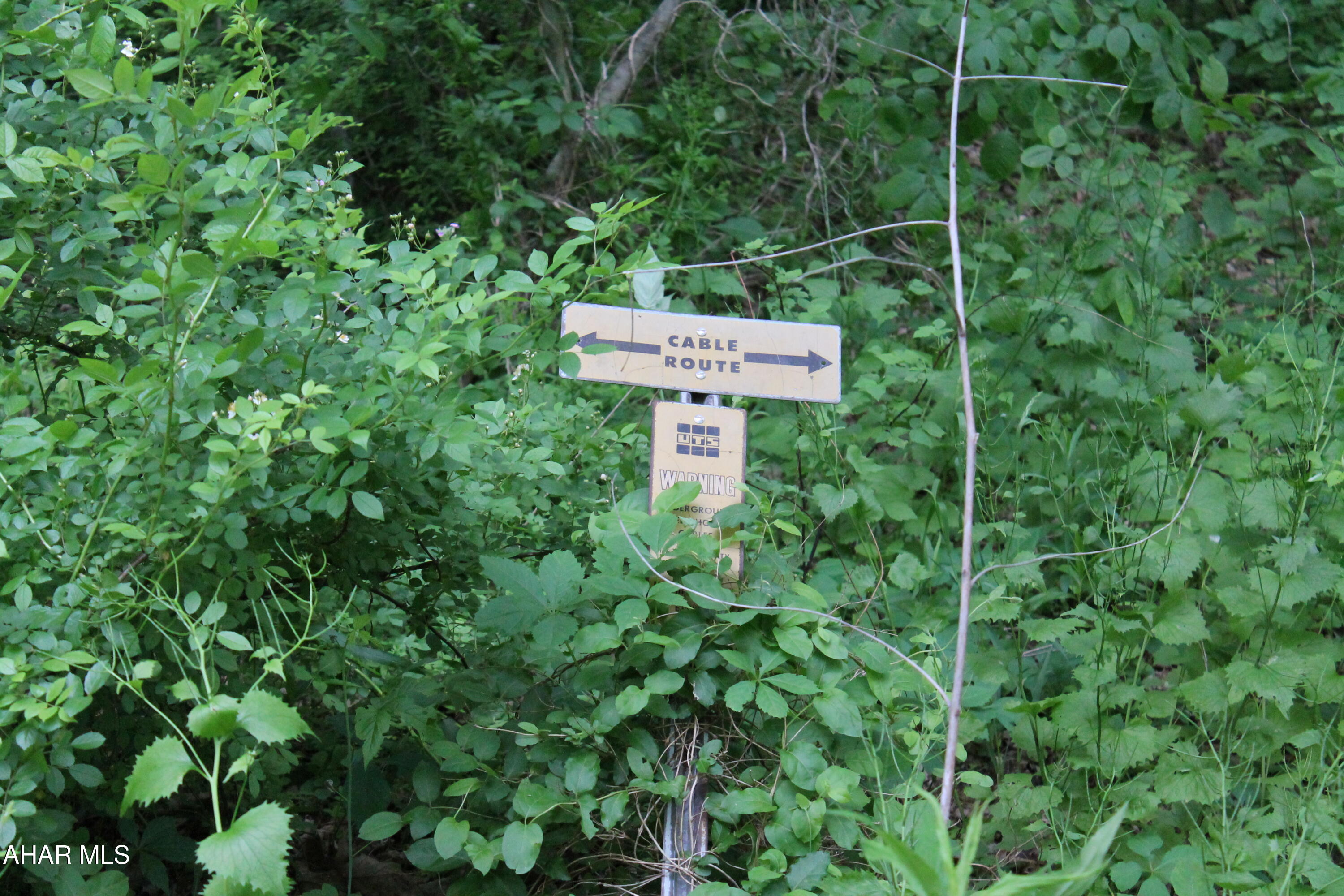 Other - Land