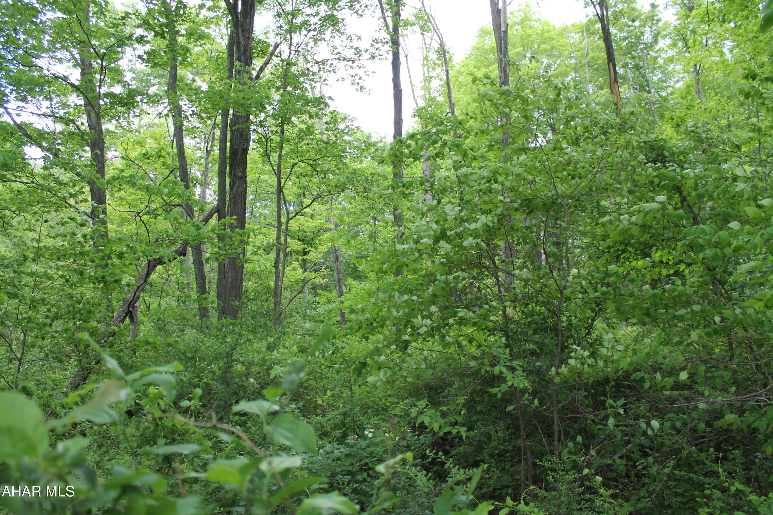 Other - Land