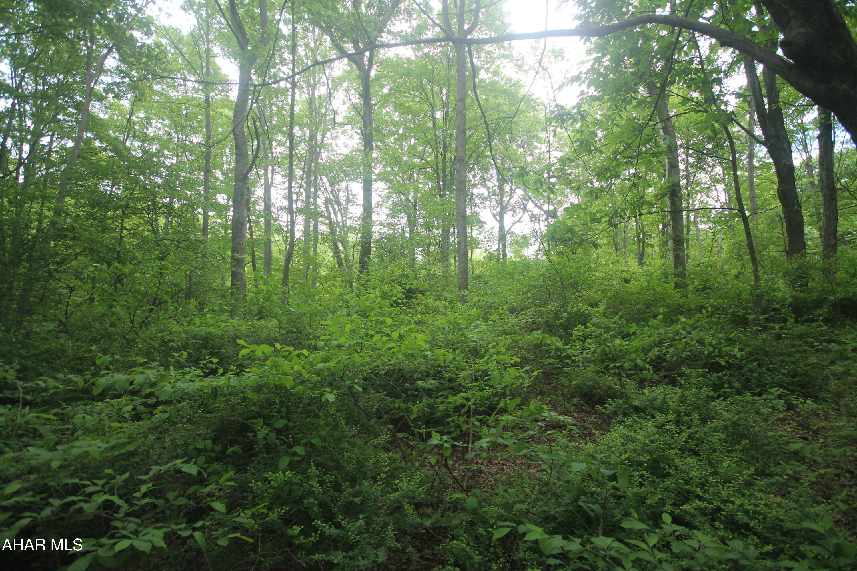 Other - Land