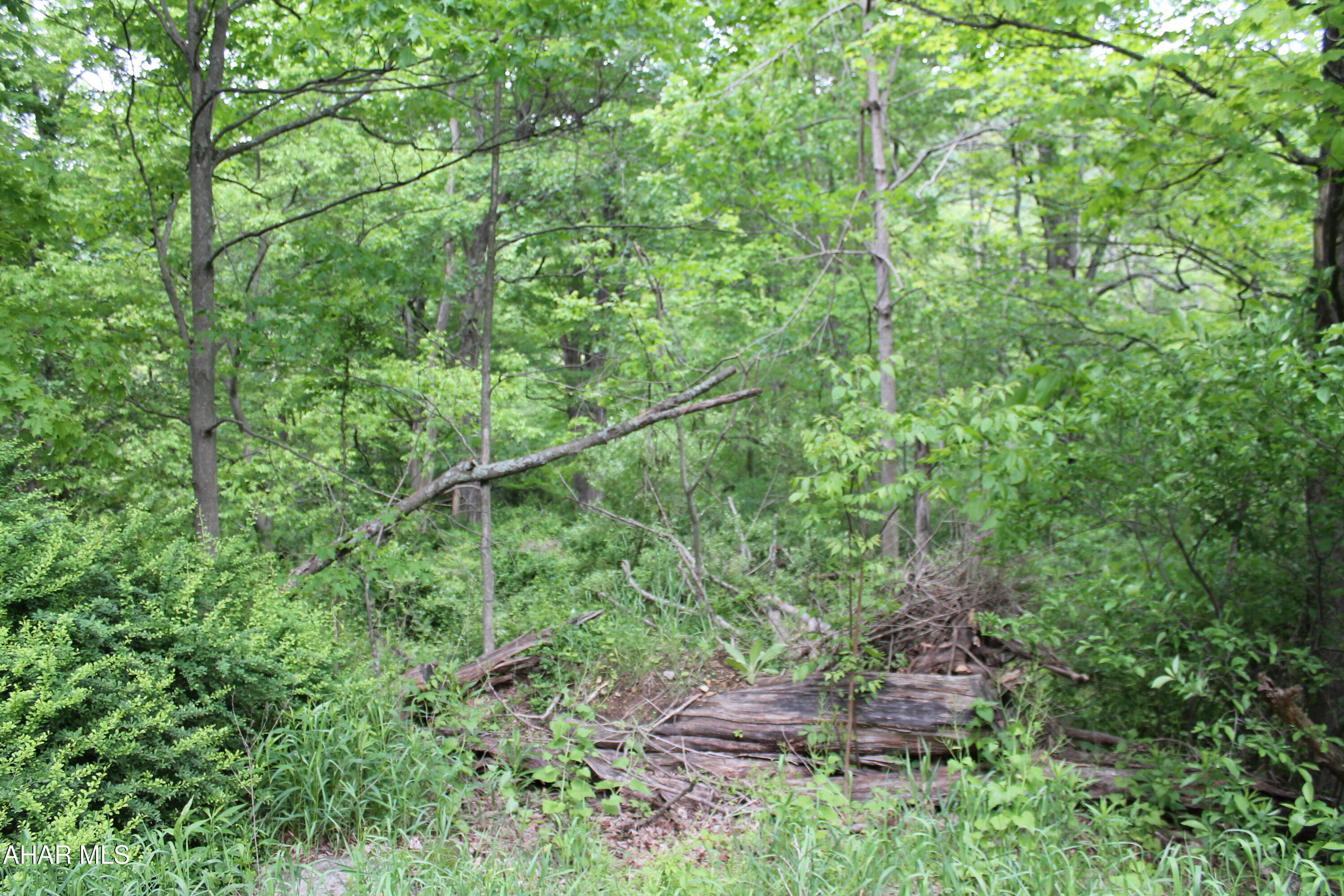Other - Land