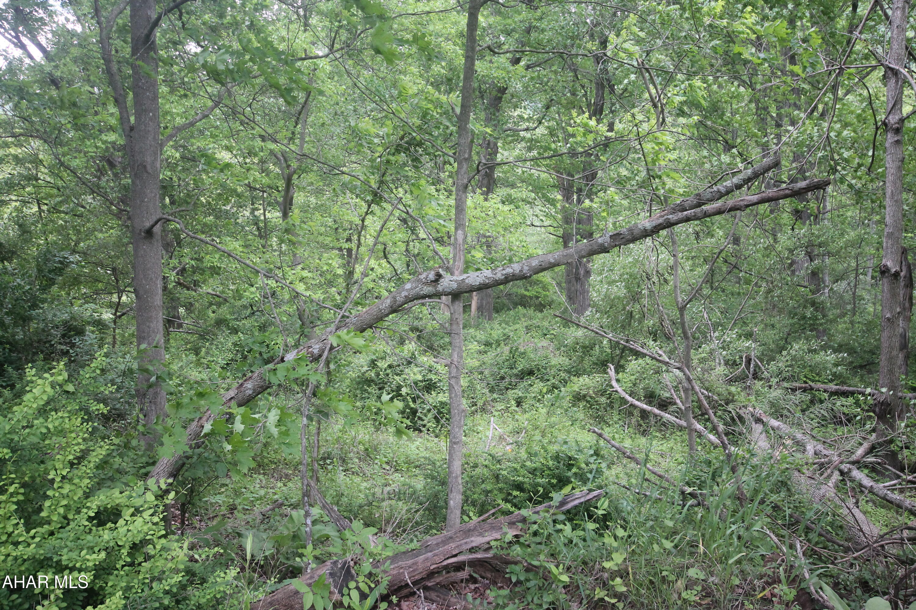 Other - Land
