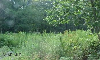 16.72 acres - part of which is on other side of I-99 Vacant ground in Thomastown