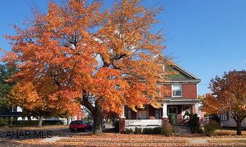 2 1/2 story, brick Bellwood home within walking distance of schools. Charming 2 1/2 story brick Bellwood home within walking distance to schools! 3-4 bedroom, 1.5 bath, LR., DR., EIK., new roof, Exceptionally landscaped.! This property has an offer with a 24 hour wipe-out clause.