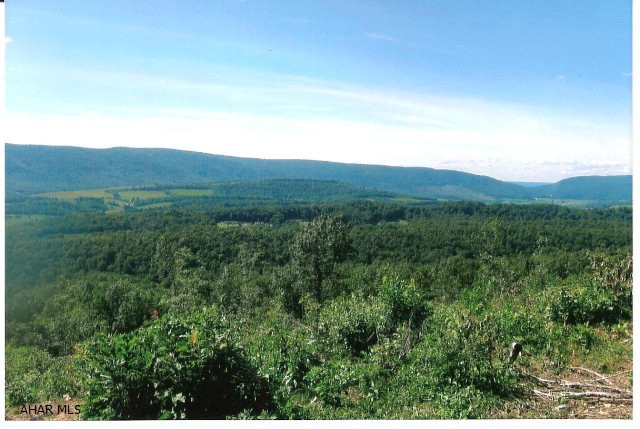 Own a slice of Heaven. This is truly a hunters paradise. 250 acres of ground just waiting for you. Brand new survey, wooded with beautiful views.