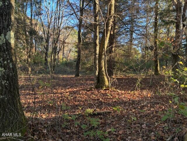 This rural wooded  1.400 acre lot is in a private community. The lot is of variable terrain,  a flat area by the road  and sloping in the back.  Located a short distance from Seven Springs Ski Resort. The community does have a shared community well.