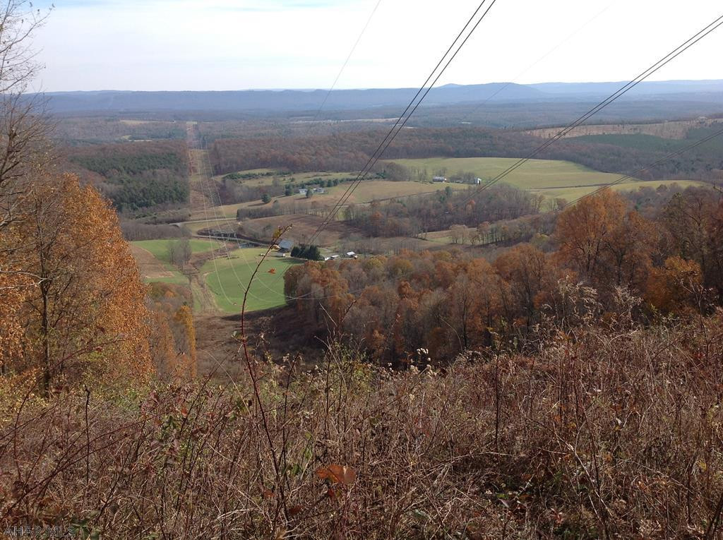 Mountain Hunting ground with mature timber and borders state game lands.  This property will come with a easement for access.  Property is 20 minutes from Breezewood, PA