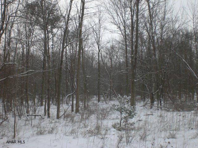 58.052 acres of wooded land. Would make a great building site or sites. Land is split by the road and has level to sloping topography. Recently surveyed,