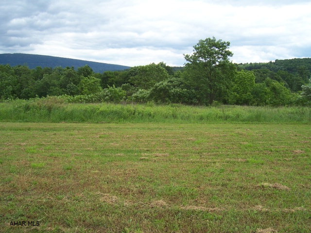 Option of city sewer may be available, you can check with King and East St. Clair Twp. municipal authority. Property is mostly flat and approx. 1 to 2 acres of woods.  Nice building area. Near I-99.