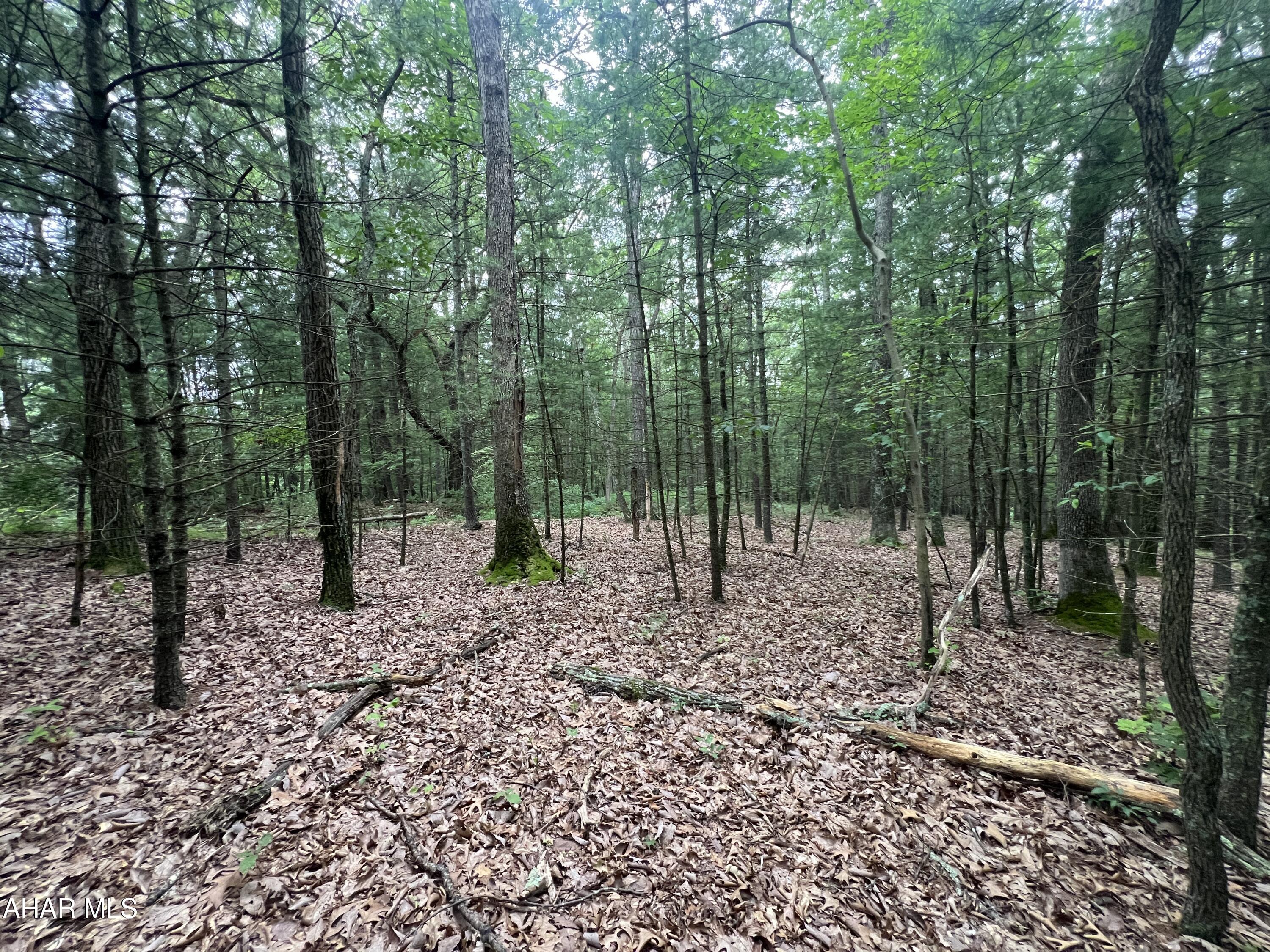 21+/- Acres bordering PA State Game Lands. Whether you're looking to build a getaway or a full-time residence or just looking for a recreational property, this location offers endless possibilities for hunting, riding ATVs and horses, hiking, and exploring the great outdoors.
