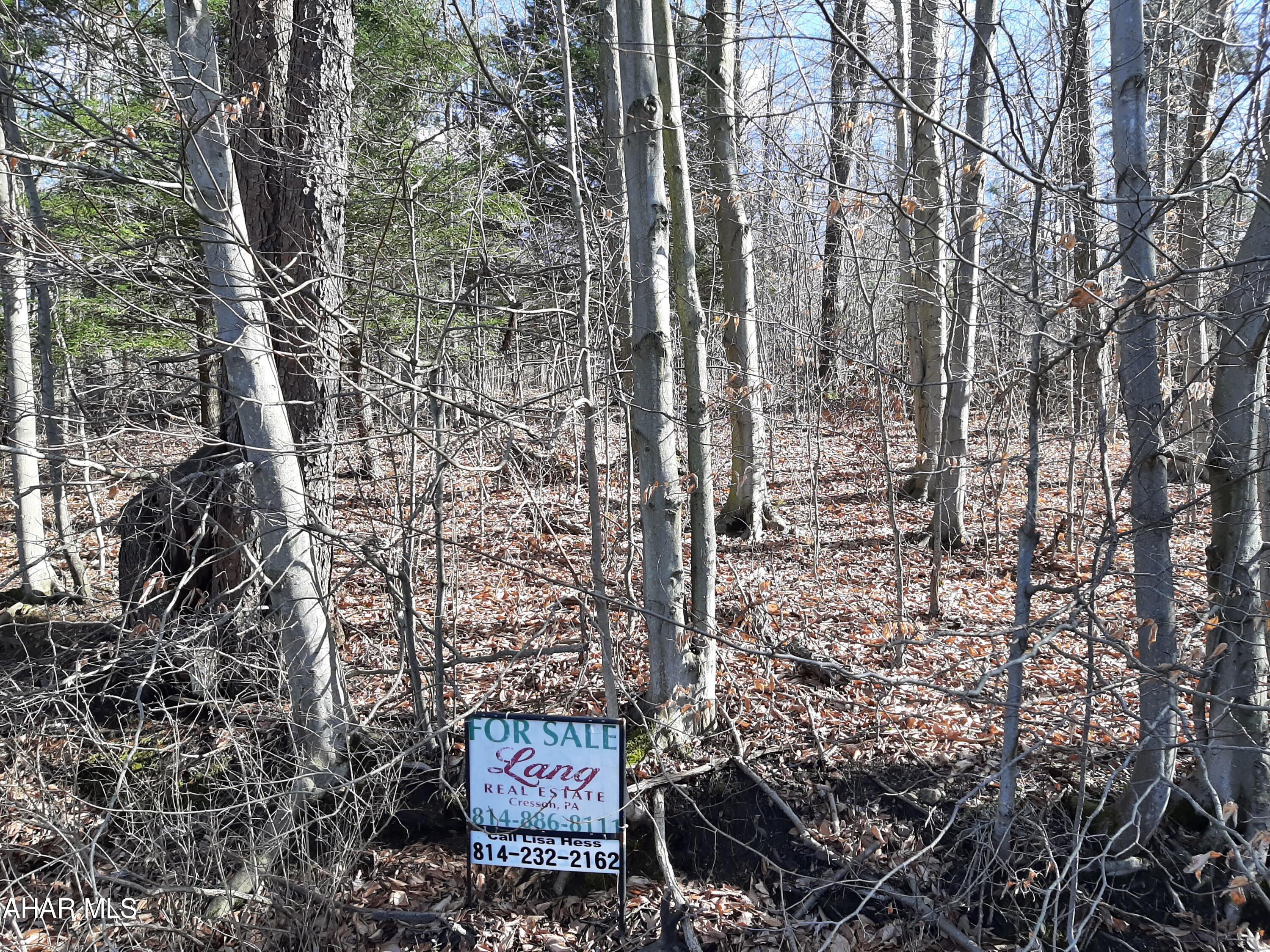 Perfect spot for your new build! This gentle sloping land has plenty of room to choose the perfect spot for your new home. Tucked away near Cresson Lakes is a quiet location but close to amenities. Call for your tour today!