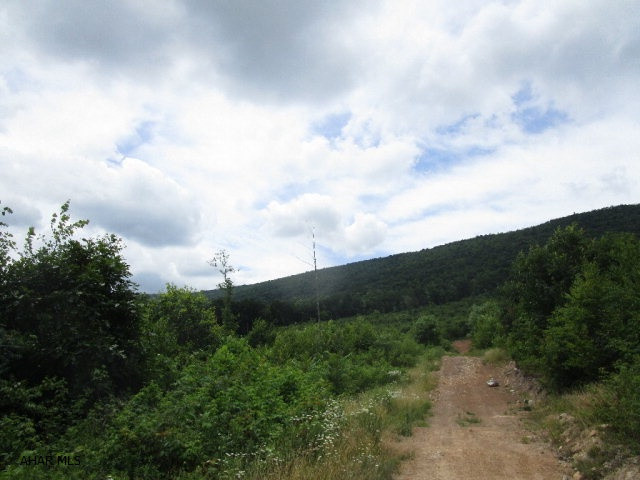 This property consists of 186.7 acres of mostly mountain land that adjoins PA State Game Lands.  There are two smaller fields that are used for crop production and remainder is used for recreational purposes only.  No public road frontage but a deeded right-of-way will be provided by seller.