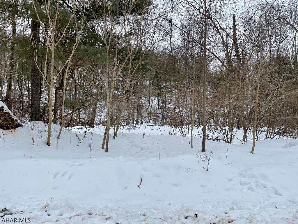 Other - Land