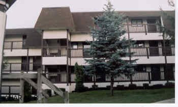 2 bedroom 2 bath condo Freshly painted, new appliances-all appliances and furniture included. Assoc dues $175.00 a month-includes trash, cable, exterior maintenance, use of pool and tennis courts.