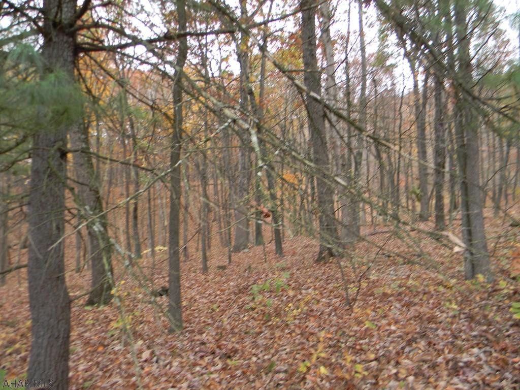 Other - Land