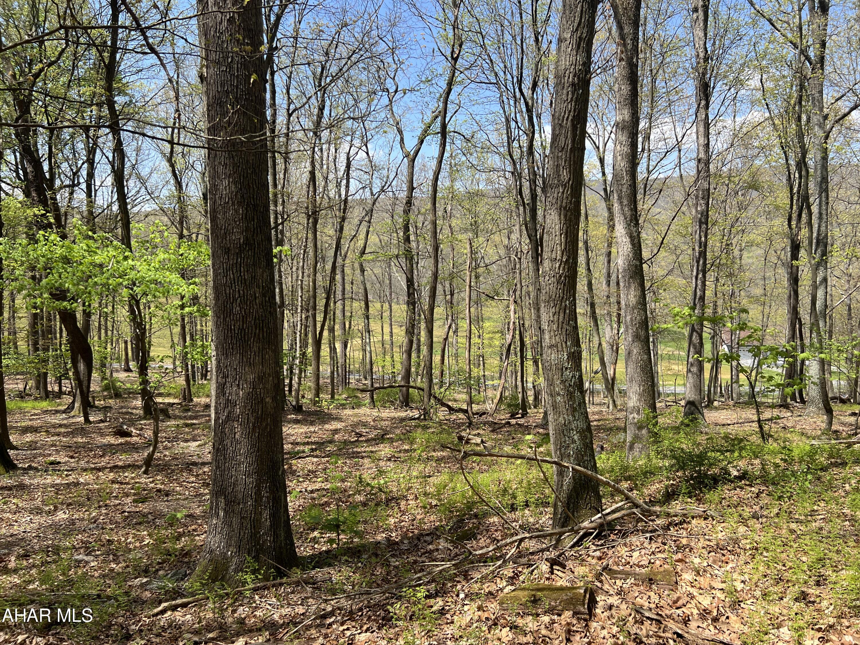 Nice wooded parcel of land consisting of 10+/- acres. Would make a great location to build a getaway or full time residence. Located just a few minutes from Buchanan State Forest.