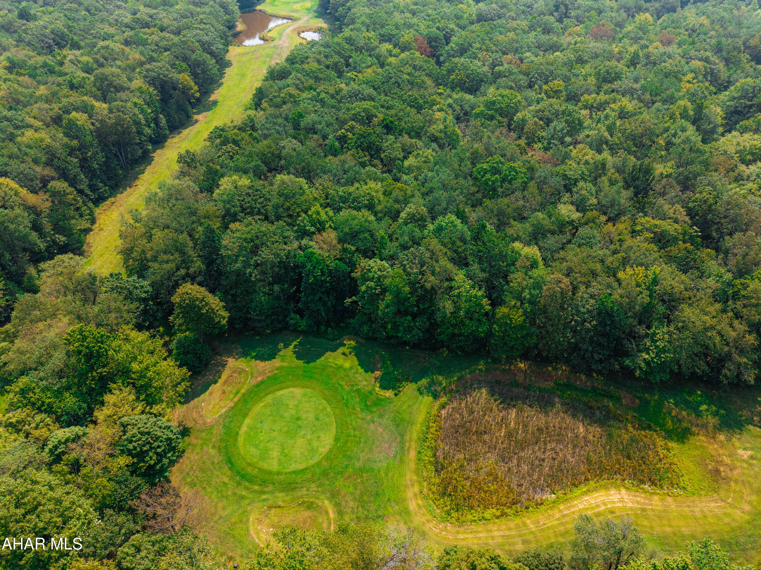 Blue Knob - Land