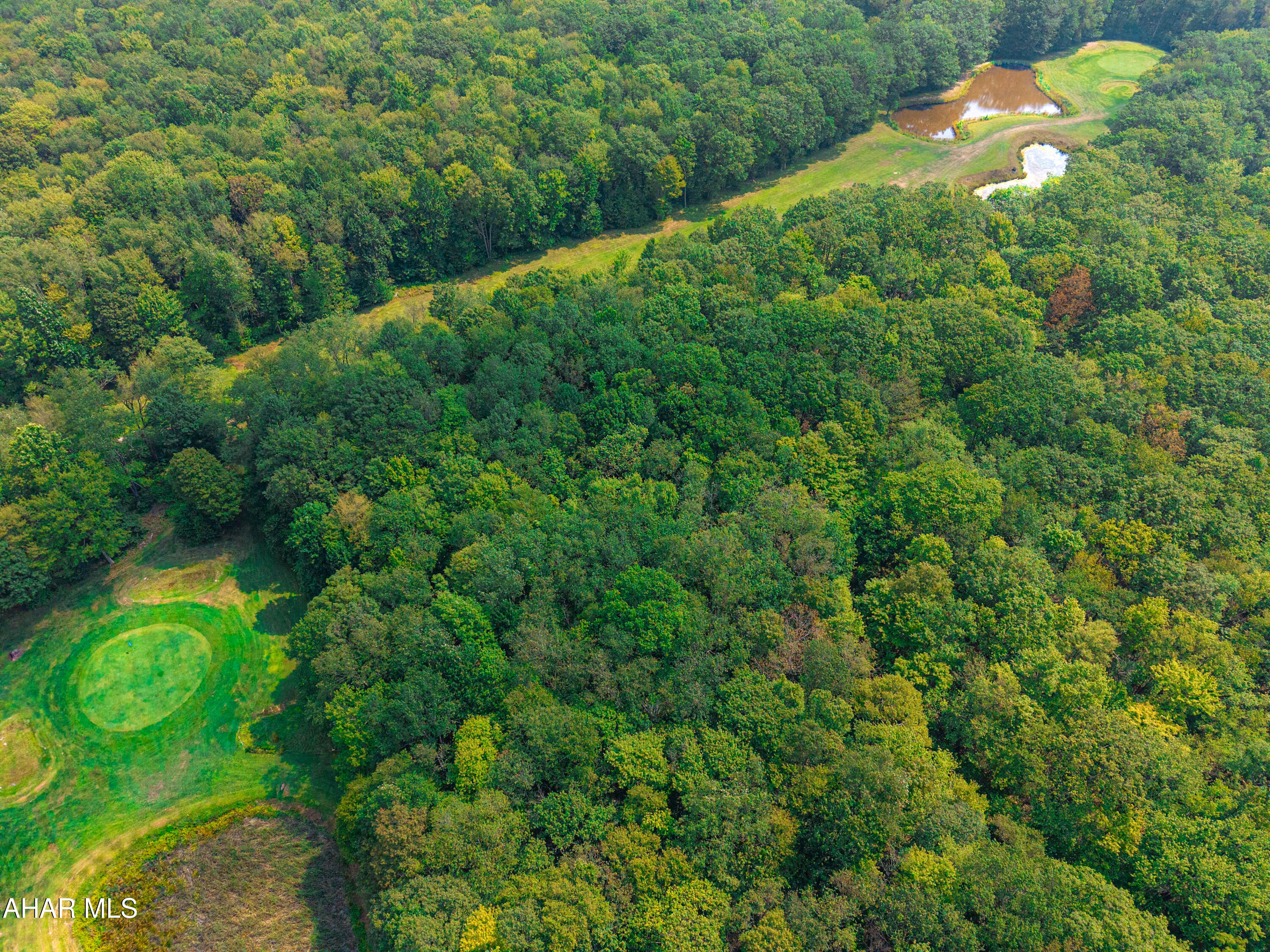 Blue Knob - Land