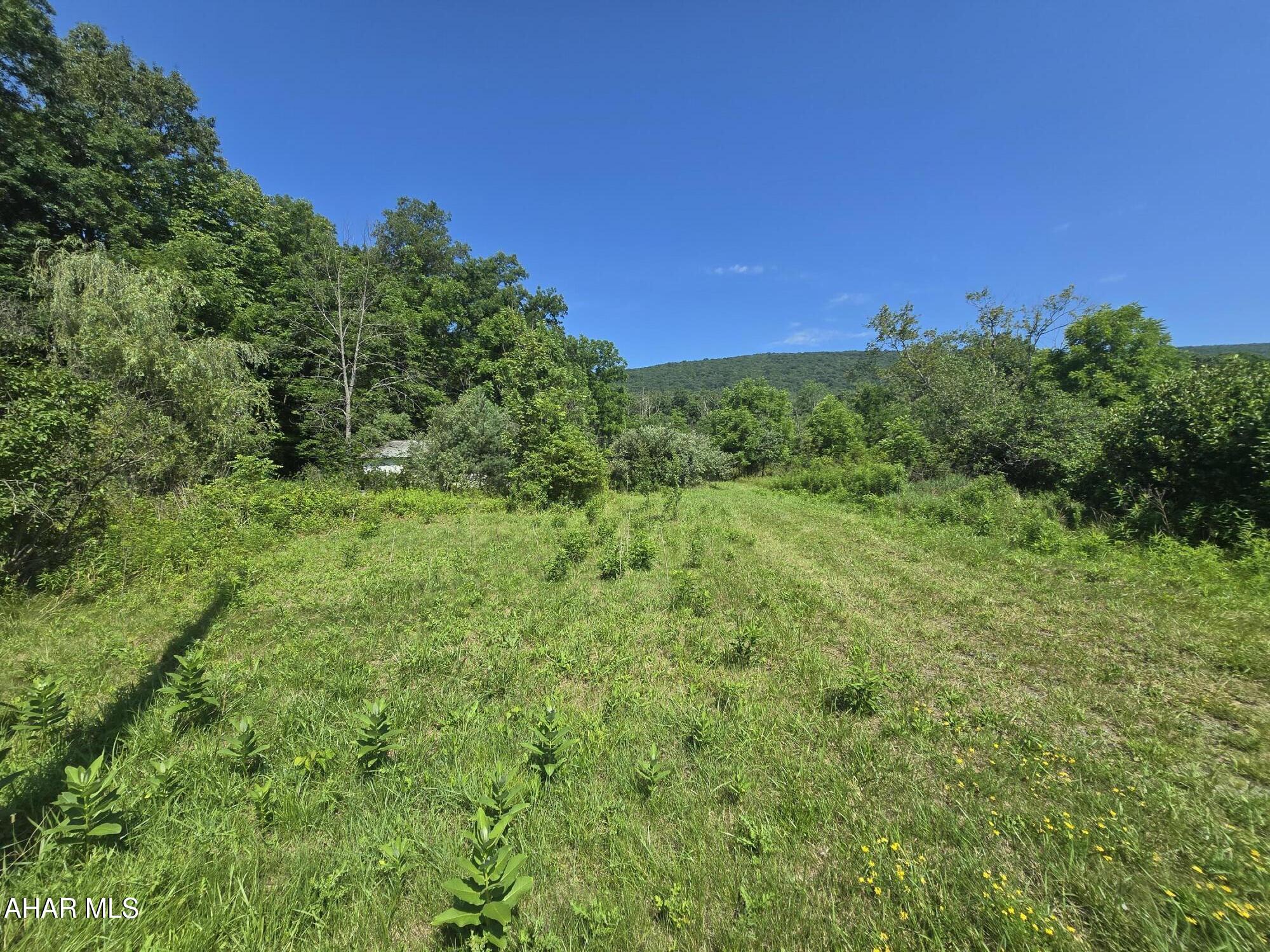 Scotch Valley - Land
