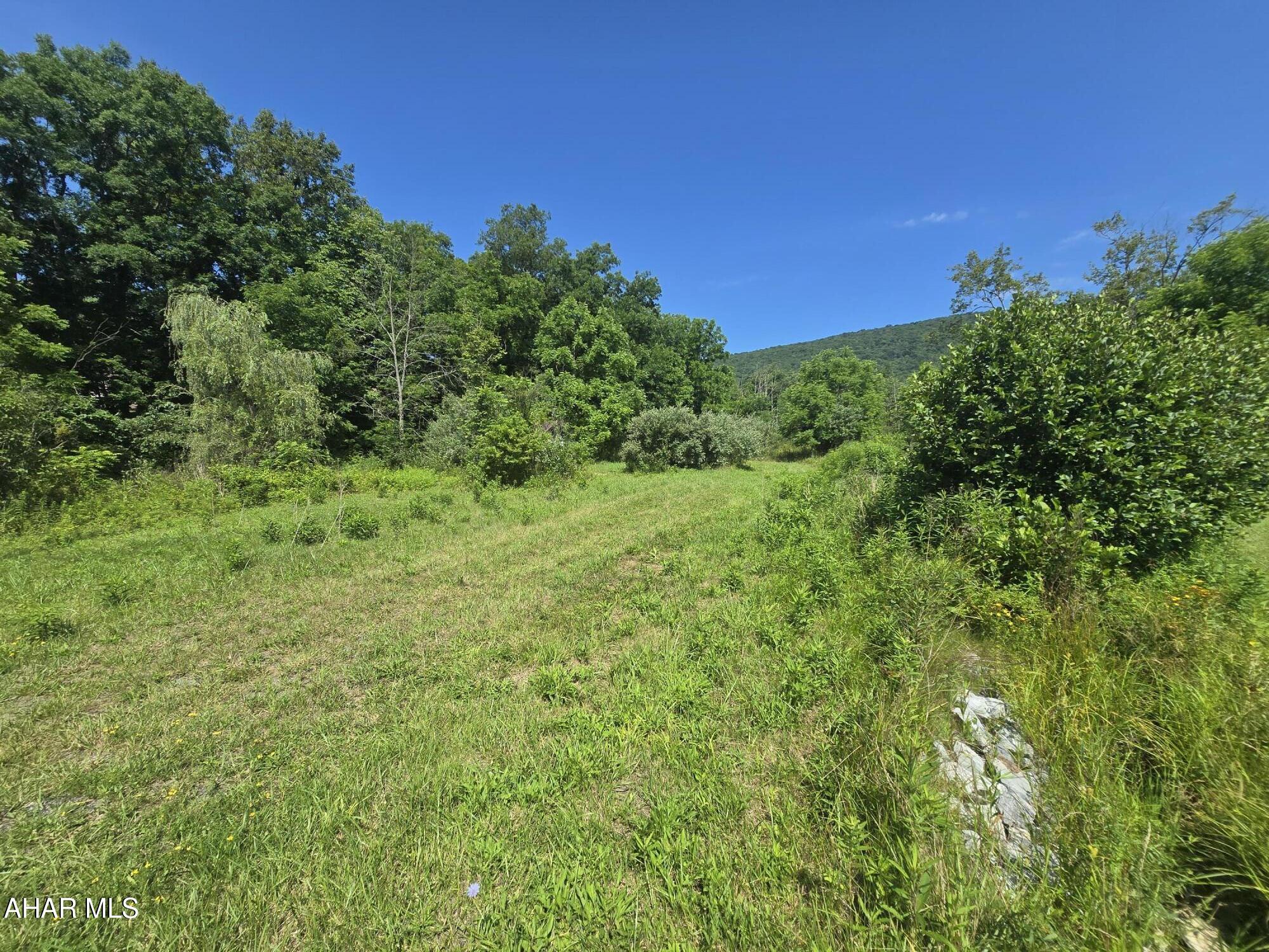 Scotch Valley - Land