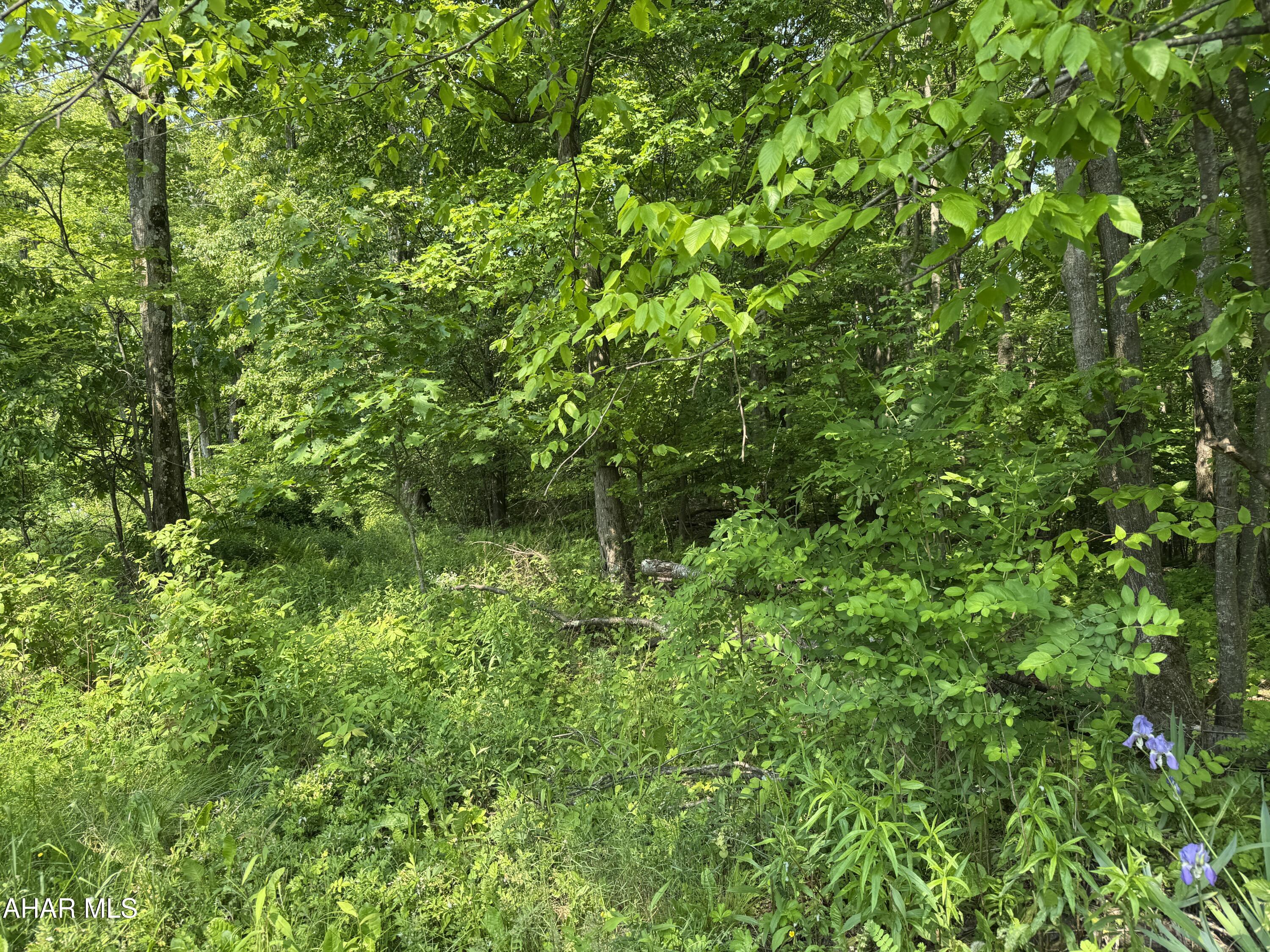 35 acres of wooded land with 50 r/w off Hillside Drive. Private setting will make an excellent homesite. Was approved for on lot sewage years ago - may need to be retested.