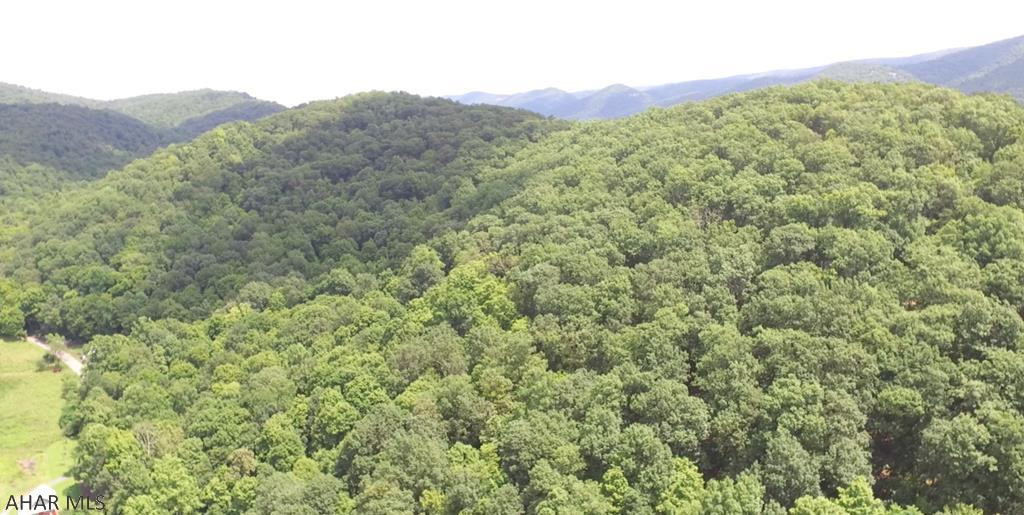 Incredible chance to own a large piece of ground with excellent timber value potential. This would make a great hunting or nature lover's retreat. Private and secluded make this a must see opportunity. Click on the Drone Video to see an overview of this land.