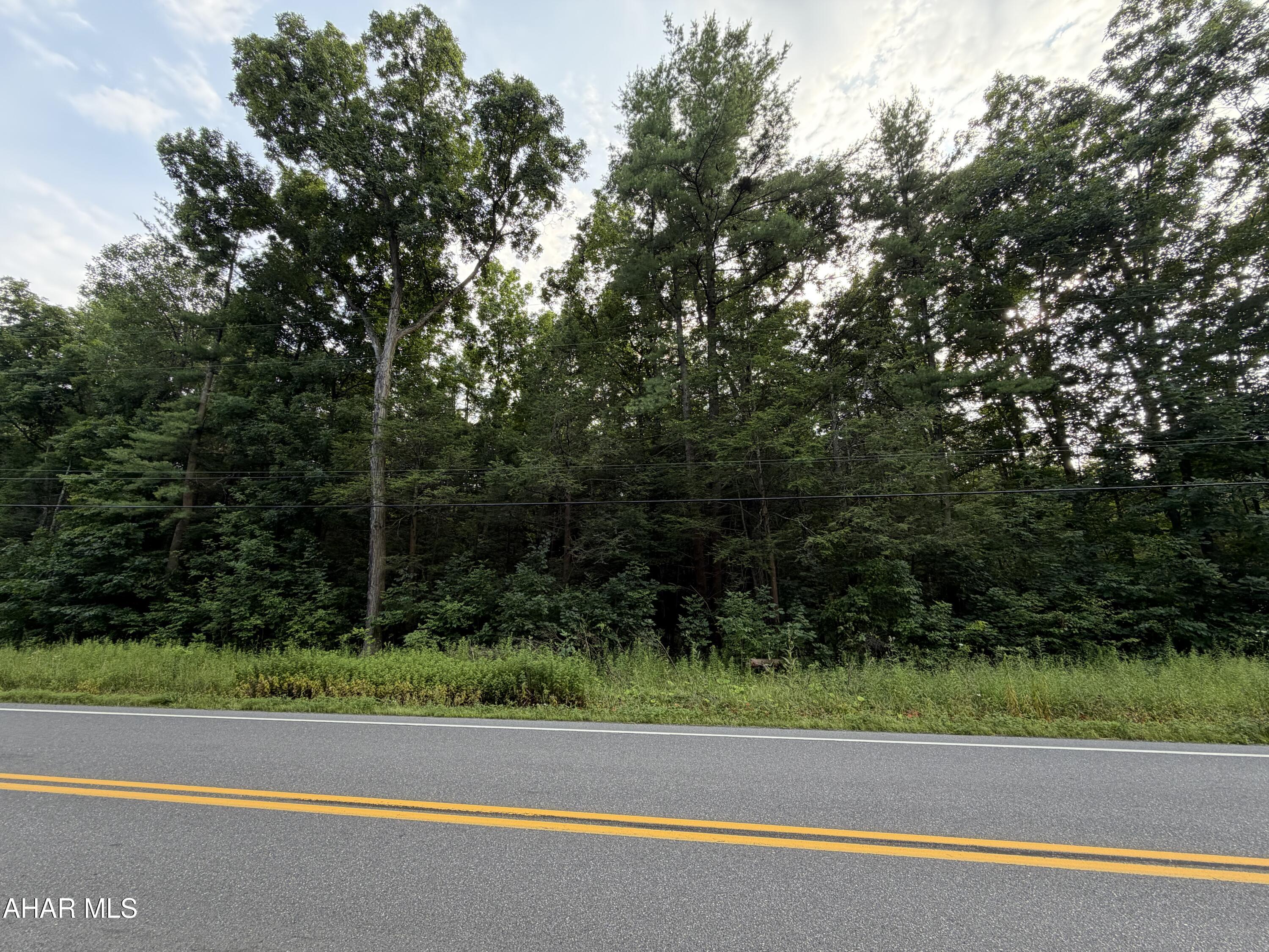 Approximately 1.85 acre wooded level lot with road frontage on SR350. Close to Dollar General store and Bald Eagle intersection with convenient access to I-99.  Some turkey scratching and deer tracks observed upon inspection.
Additional home for sale on adjacent lot containing approx 3.83 acres. See MLS #80787