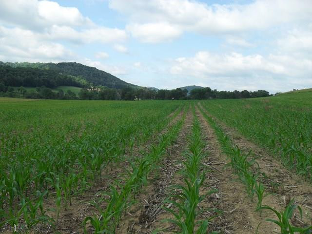 Unknown - Farm
