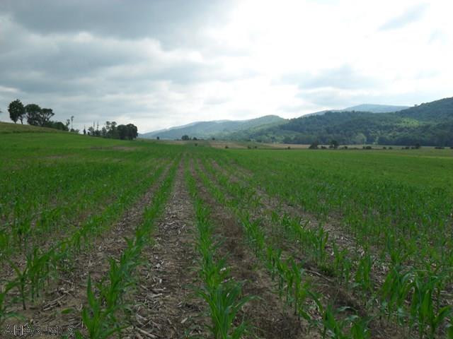 Unknown - Farm