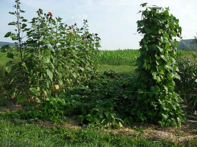 Unknown - Farm