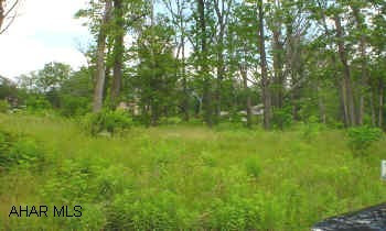 PRIME BUILDING LOT HUNTER WOODS-One of Blair County's most exclusive ares. Near Blairmont Club and Sylvan Hills Golf Course. Nearly one full acre with all public utilities. Gas and electric available. Step up to luxury.