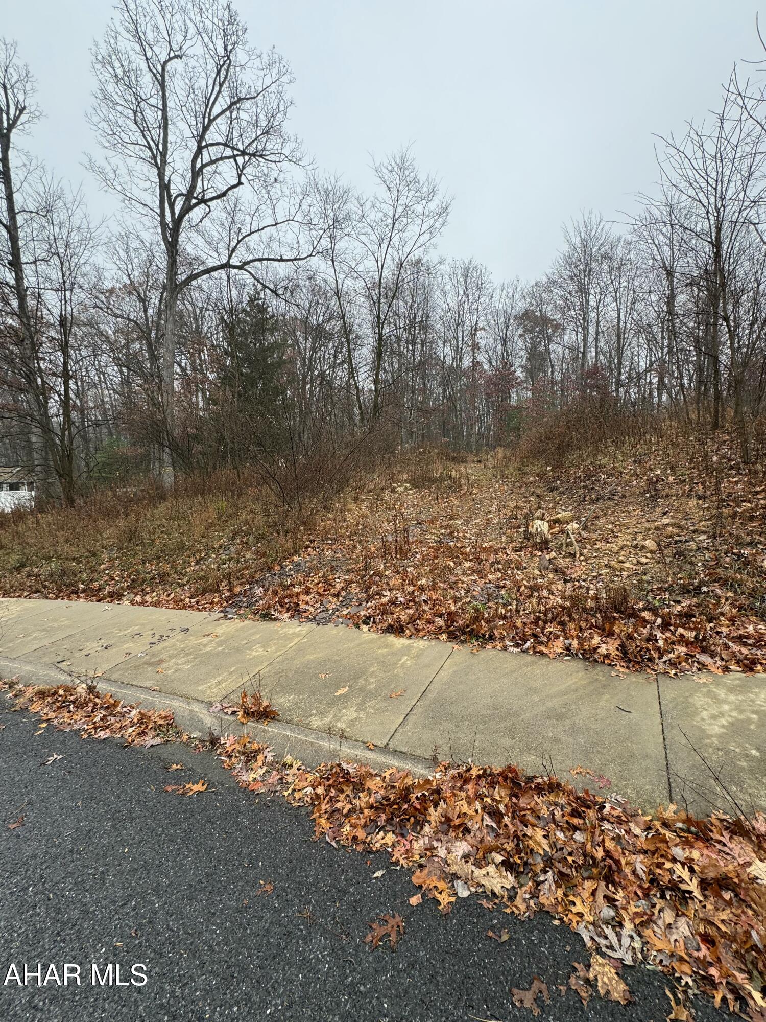 Brush Oaks Development - Land