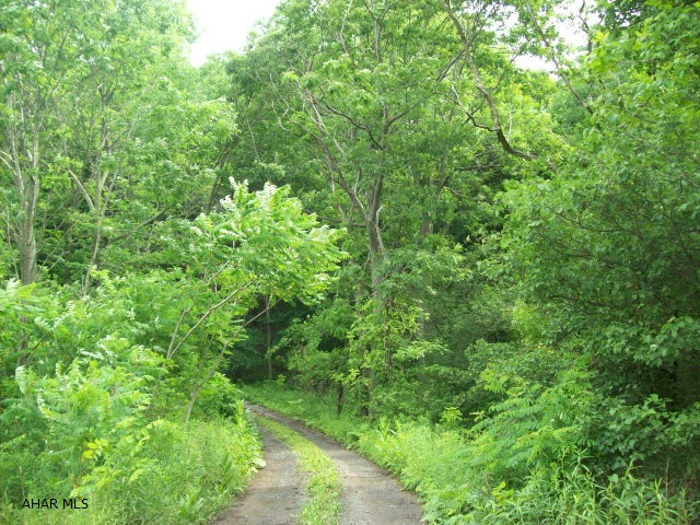 Raw wooded ground. No utilities on the property.