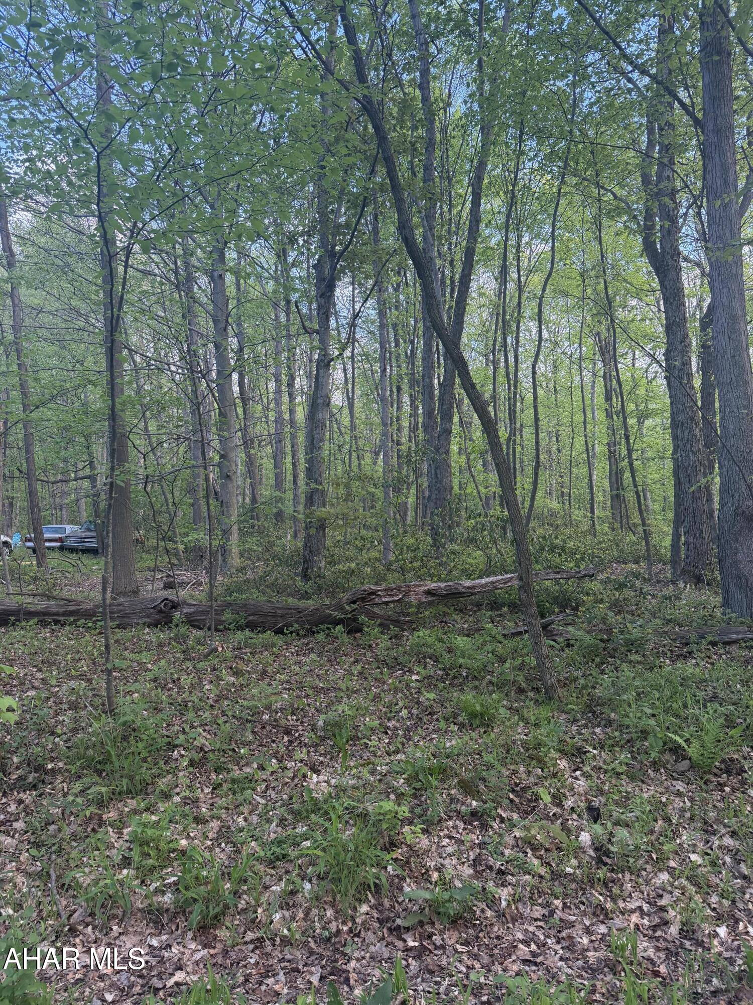 Located within the scenic surroundings of Blue Knob Resort and its inviting community, this property offers the perfect opportunity to build your dream home or private mountain retreat. Public utilities are believed to be available (tap fees may apply; buyer to verify utility availability), allowing for an easier building process. The lot features a desirable location, beautiful views, and convenient access to the many amenities offered throughout Blue Knob Resort such as an outdoor pool, biking/ hiking trails, ski slopes, tennis courts, and the golf course.

HOA Fees:
Lot Owners: $125/year
Homeowners: $425/ year
