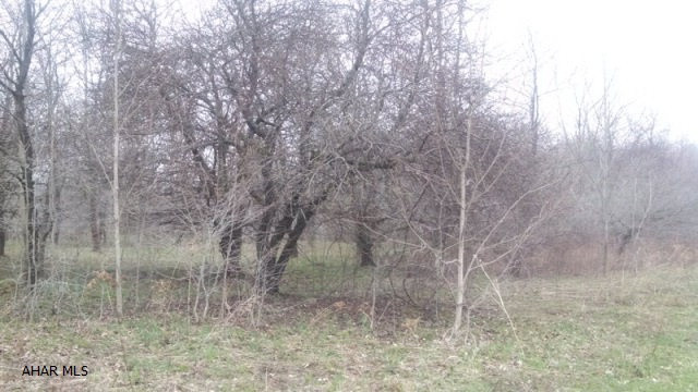 Unknown - Land
