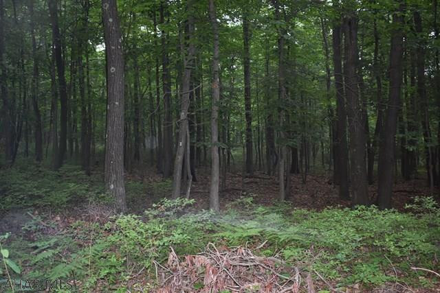 SERENE is one word to describe this 139 acres offered in Sylvan East.  The views are IMPECCABLE.   The top of the property overlooks Logan Towne Center.